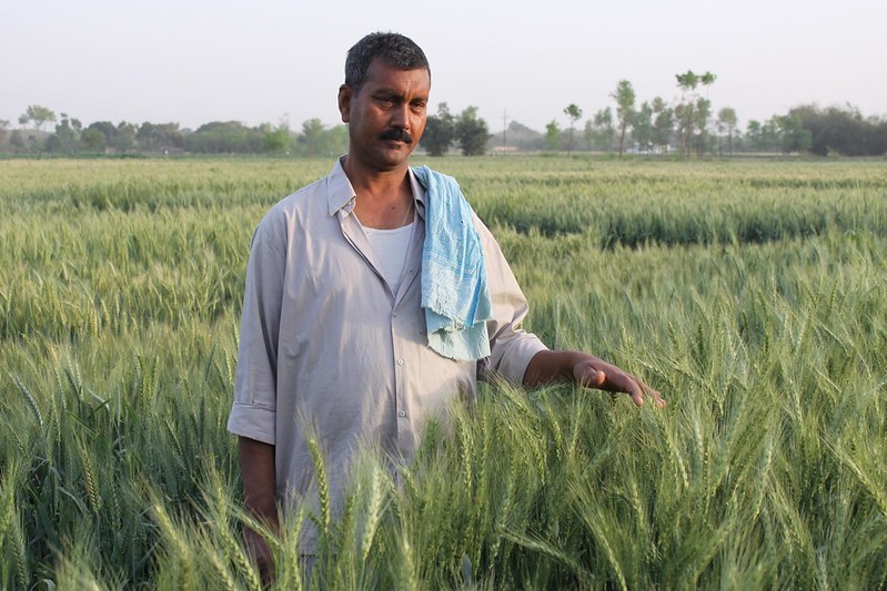 India is now the world's most populous nation &amp; is the 2nd-largest global producer of common cereal grains including rice &amp; #wheat. 

What does this mean in terms of groundwater depletion for crop production in the coming decades? 

#Read this new study. bit.ly/44DMc2B