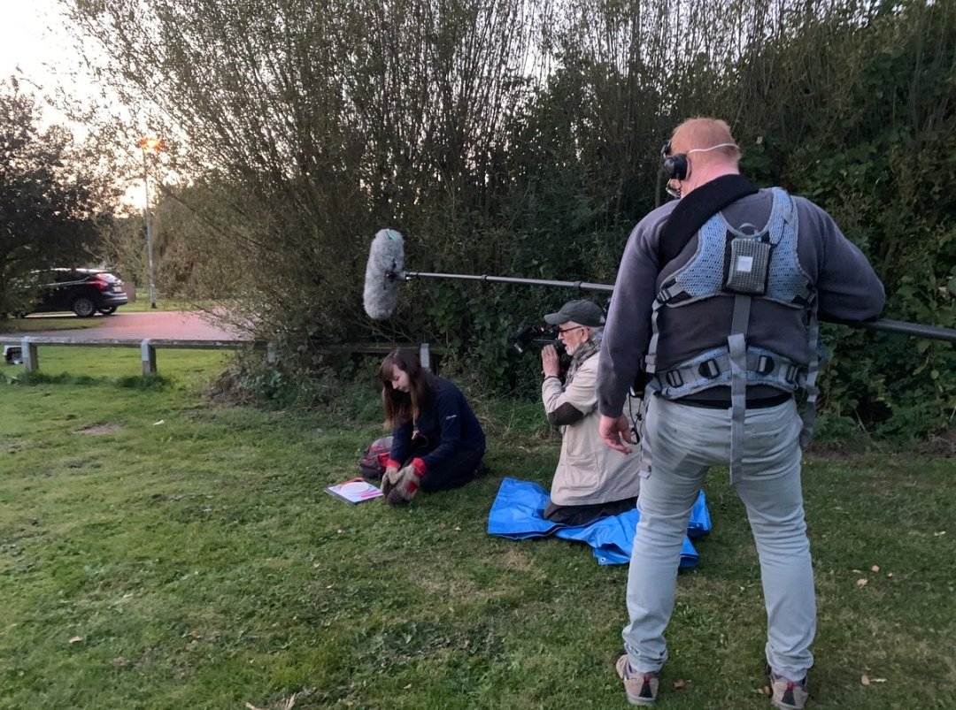 Lauren Moore tweet media