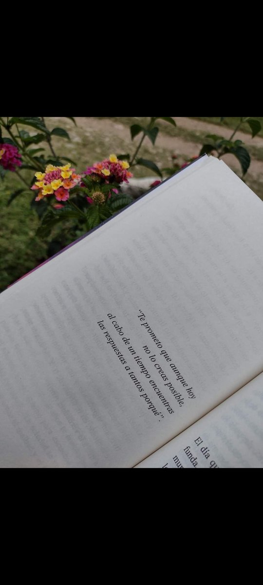 DLAS95's tweet image. 😪 ojalá