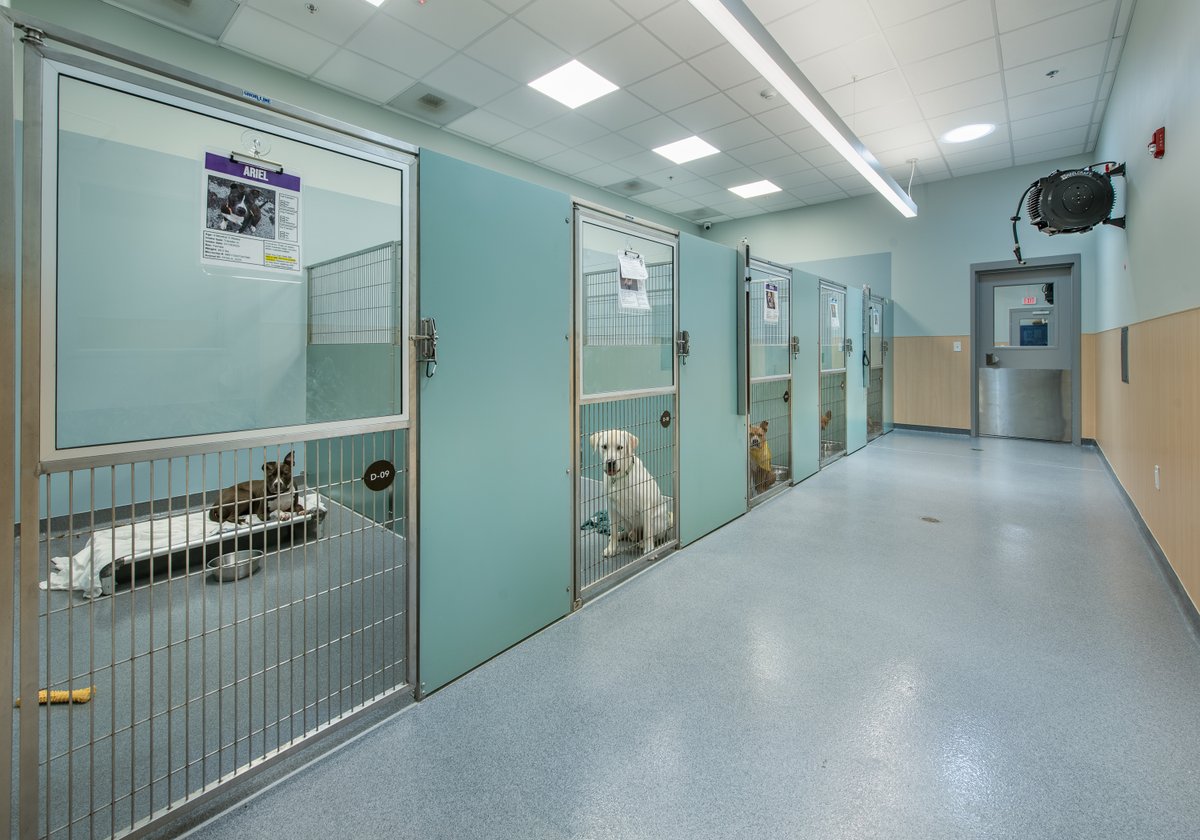 Bancroft Construction tweet media