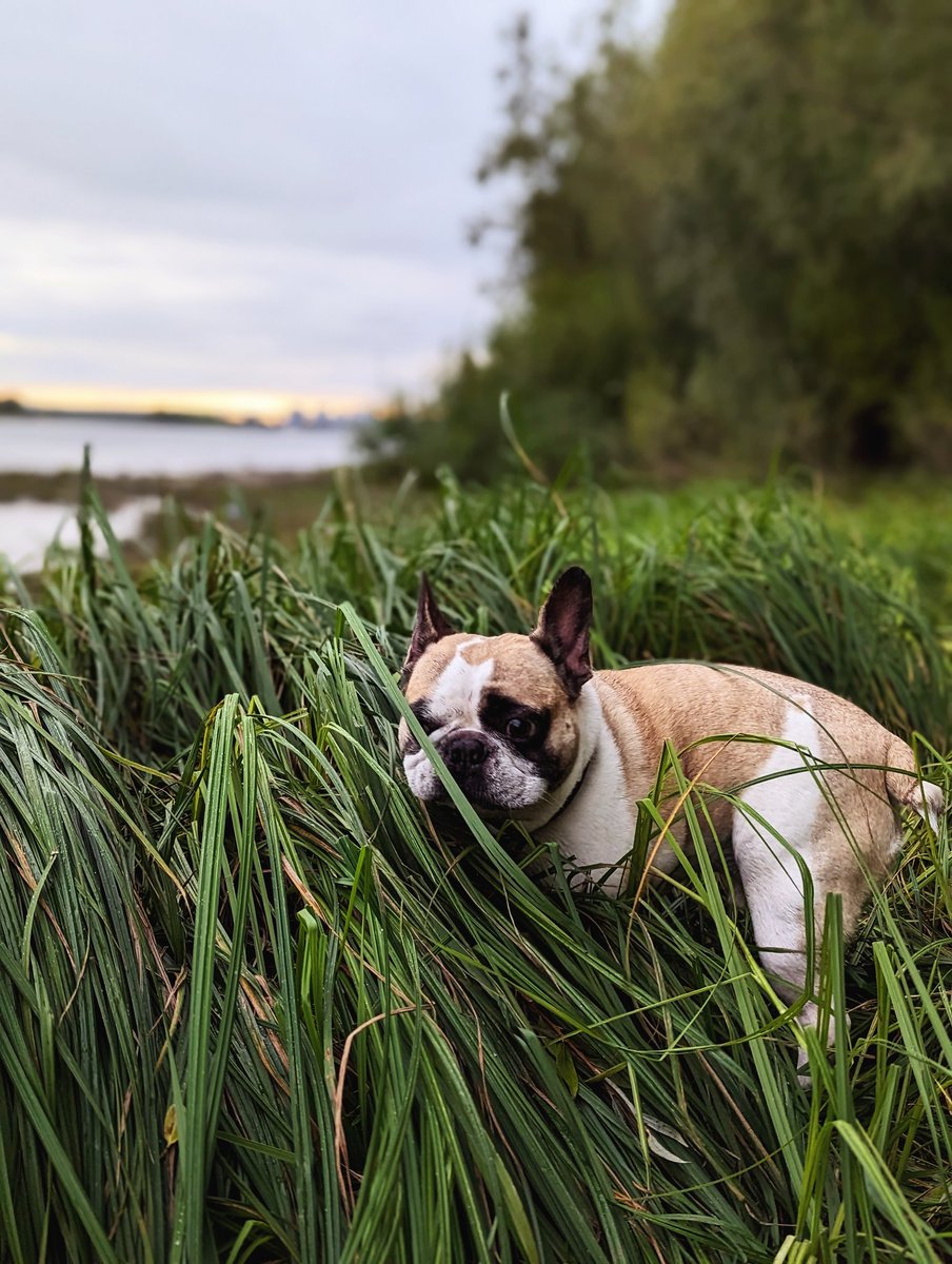 Красавчик мой😍