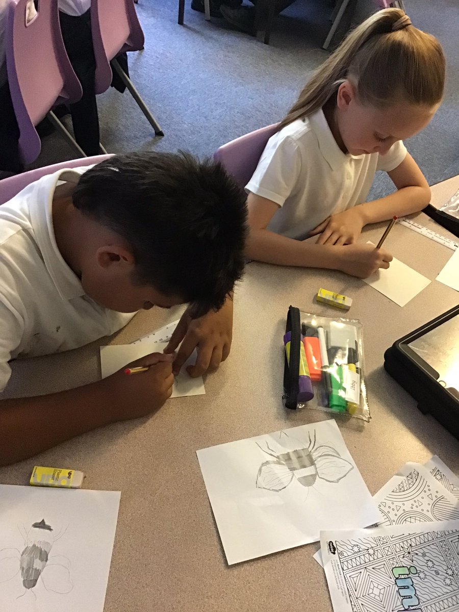 PindersPrimary's tweet photo. Today, we have looked a lot at teamwork. Inspired by Matt Willey and his bee art, Year 5/6 have carefully sketched bees to collaborate to a whole school display linked to the book- Bee by Britta Teckentrup. #PPArt #PPRSHE https://t.co/Pe5tSaxvV5