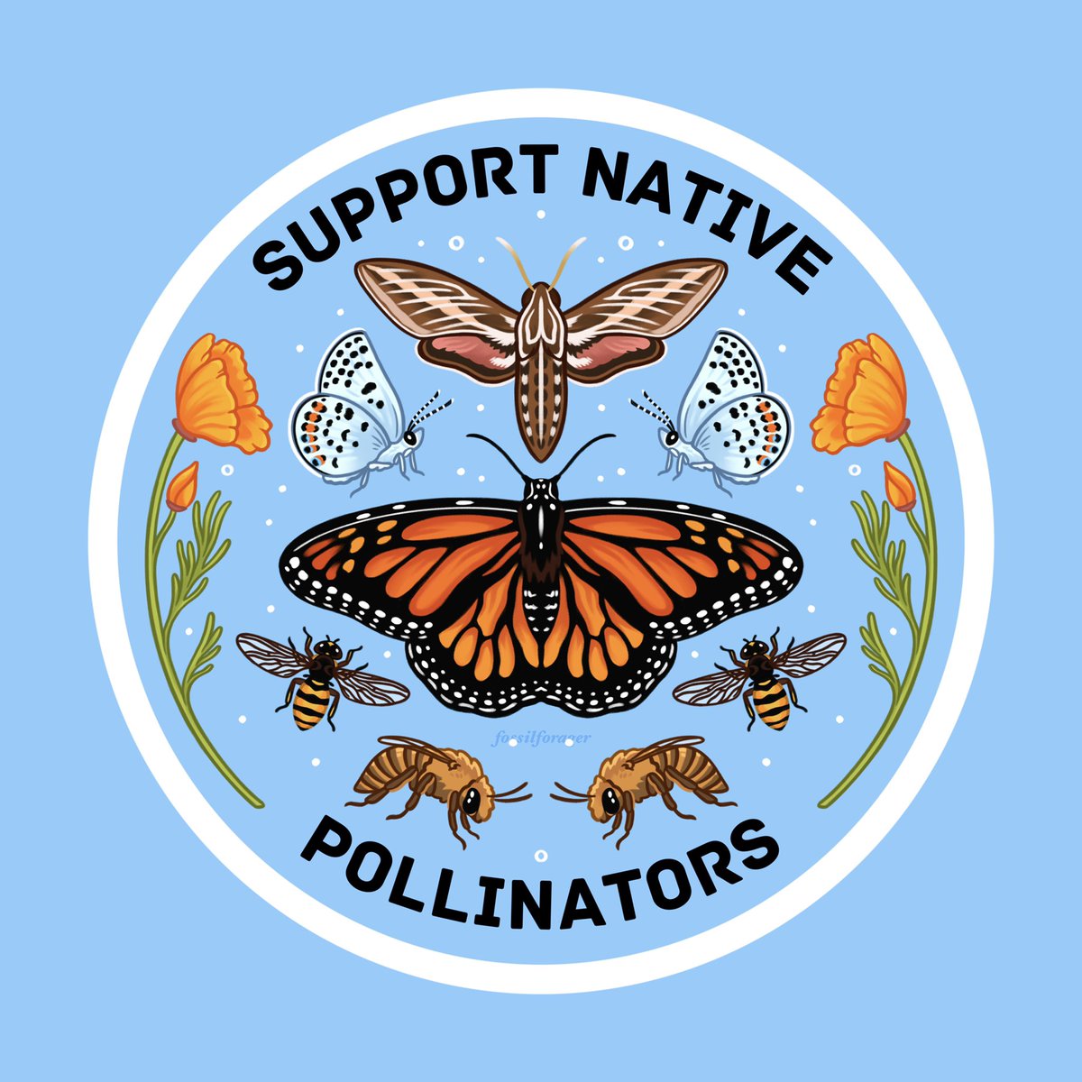 Nicole 🪲 tweet media