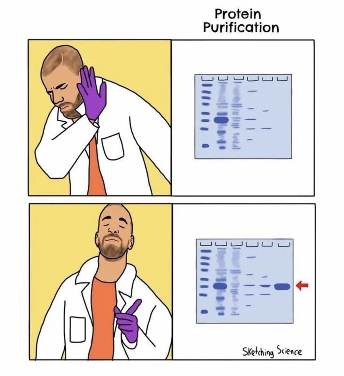 mhigginslab's tweet photo. If you know, you know! 

#protein_purification https://t.co/V7rwcWO16A