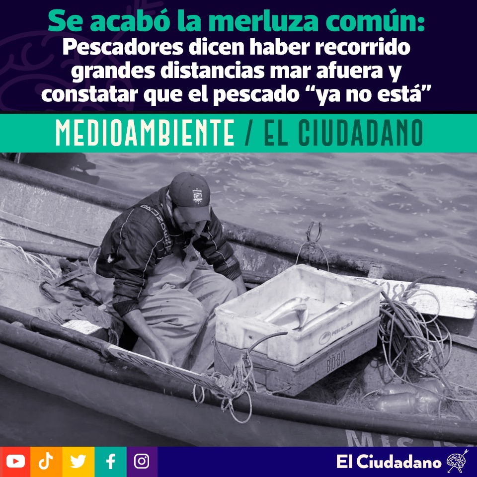 El_Ciudadano's tweet photo. Así se evidencia en el último trabajo publicado por la organización de conservación marina Oceana, "Pobreza en las redes", corto documental en donde los pescadores artesanales exponen la crisis que están viviendo.
Puedes leer más👉https://t.co/uTW08DLDxY
#merluza #pescada #crisis #pescaartesanal #medioambiente