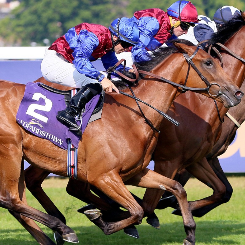 ToteRacing's tweet photo. "___________ is entered in the Group 1 Fillies’ Mile at Newmarket next month and looks set to at least go close here."

@TrendHorses is on hand ahead of our 𝗜𝗿𝗶𝘀𝗵 𝗖𝗵𝗮𝗺𝗽𝗶𝗼𝗻 𝗦𝘁𝗮𝗸𝗲𝘀 𝗕𝗲𝘁𝘁𝗶𝗻𝗴 𝗧𝗼𝘂𝗿𝗻𝗮𝗺𝗲𝗻𝘁🇮🇪

#BeatBenson : 18+, https://t.co/WW8or8fV1F