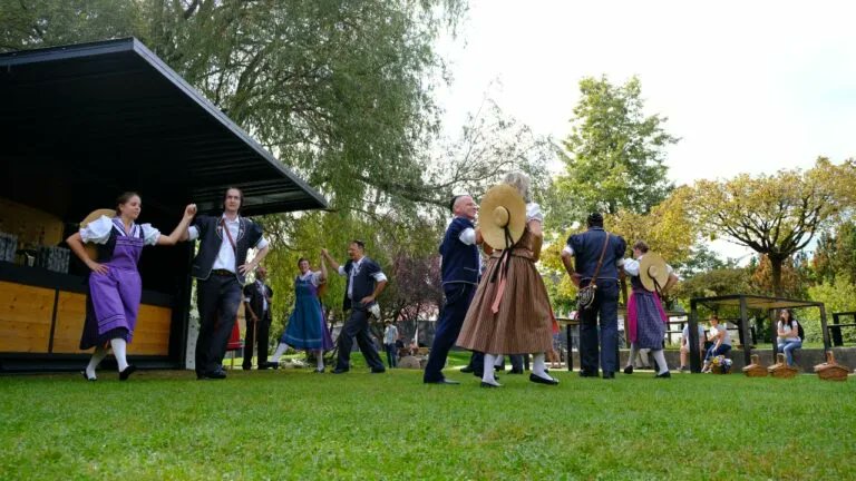 Der Schweiz-Experte tweet media