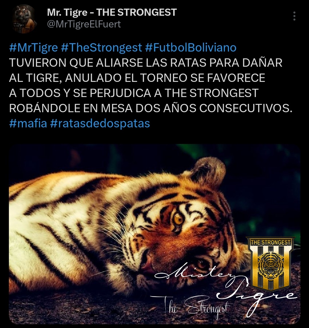 Mr. Tigre - THE STRONGEST (@MrTigreElFuert) / Posts / X