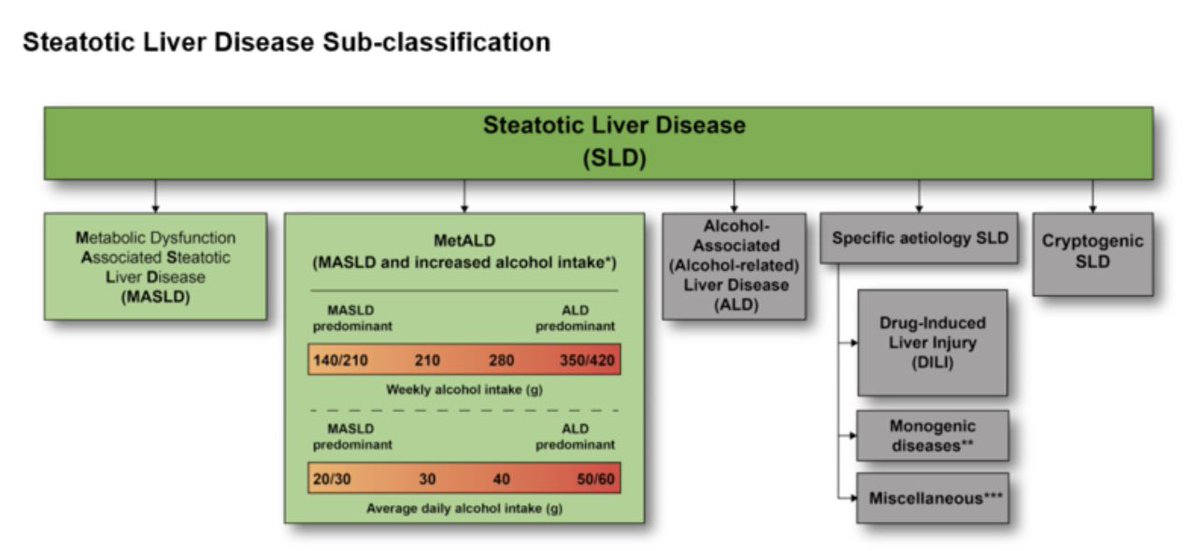 NSonpalMD's tweet photo. Steatotic liver disease (SLD) was chosen as an overarching term to encompass the various etiologies of steatosis.

@SeeFisch time to call the publishers. We got changes to make!!! https://t.co/7bWVHCJzgK