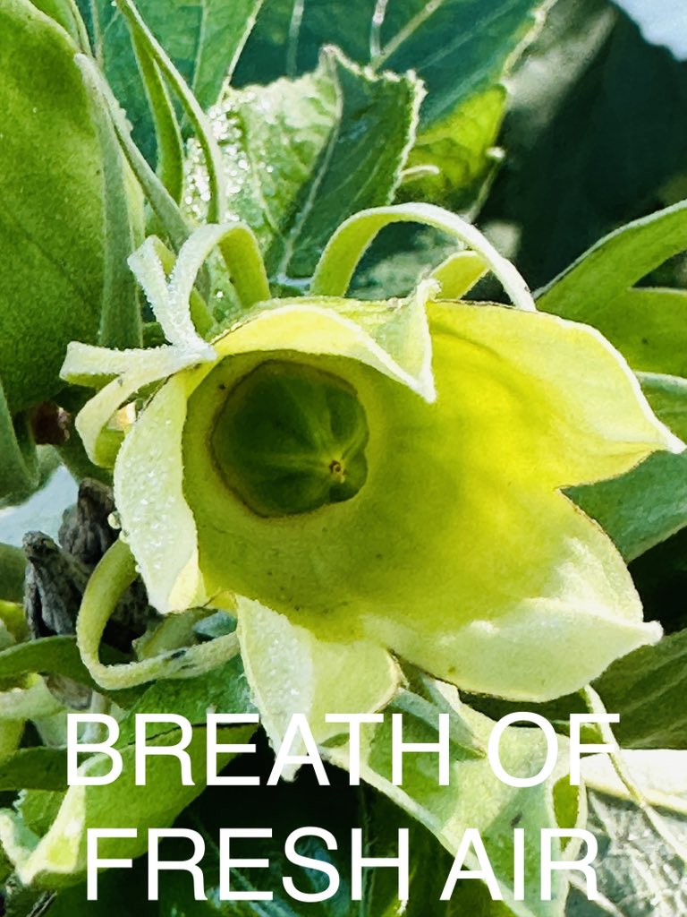 #ODSWildGooseChase2023
#Team Ace