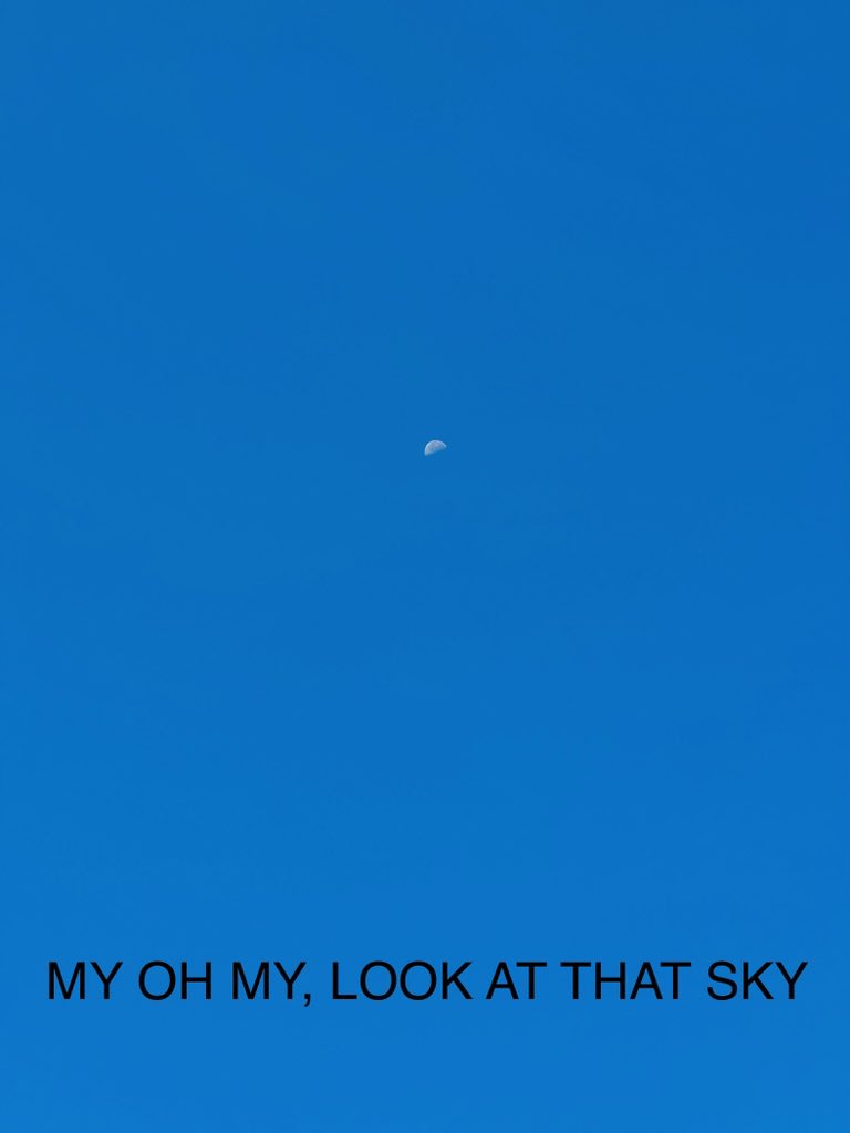 #ODSWildGooseChase2023
#Team Ace