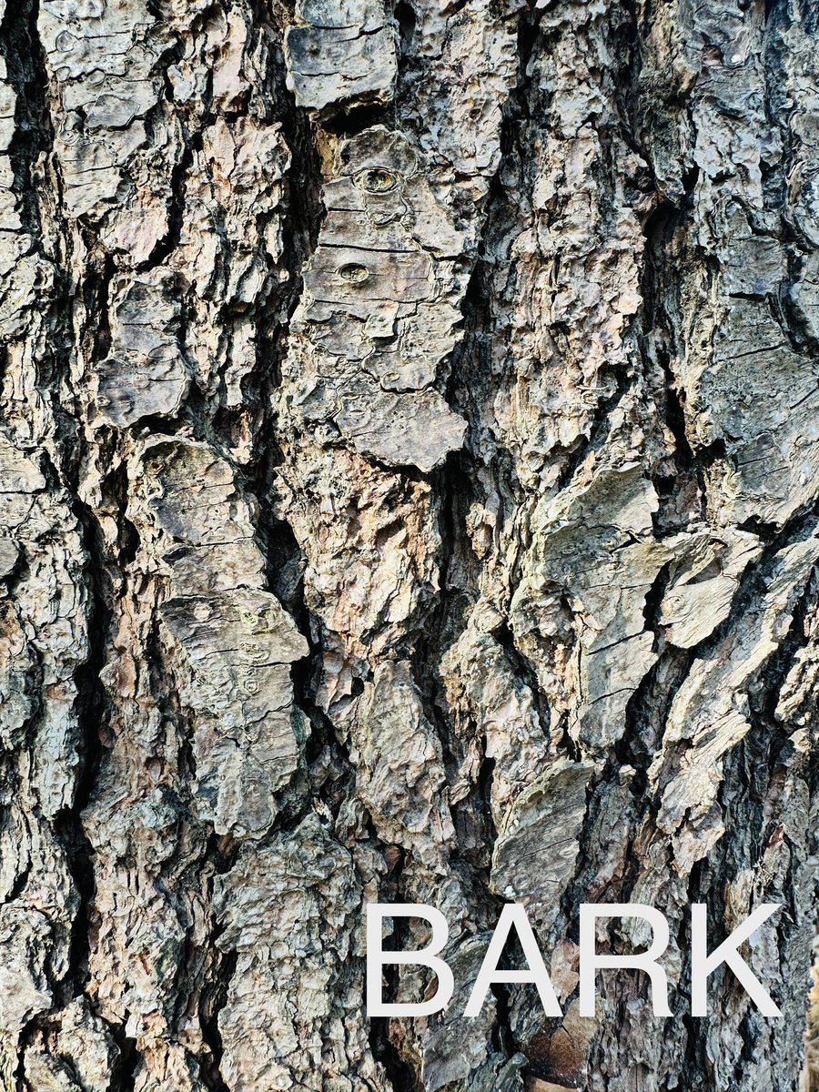 #ODSWildGooseChase2023
#Team Ace