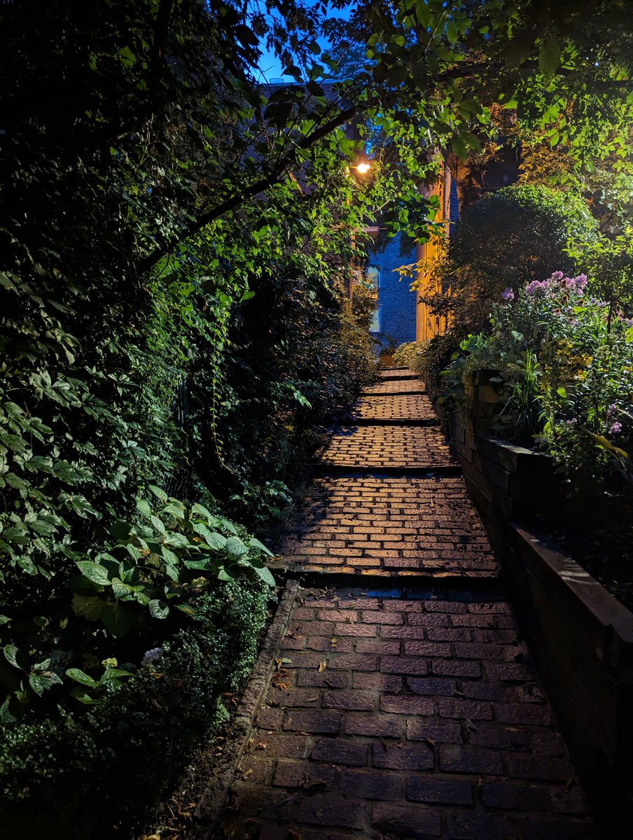 Craazylife's tweet photo. Petite balade nocturne hier soir question de prendre l'air car le jour c'est beaucoup trop chaud pour moi.
Bonne journée, les #Twixtes 👋🏻🌿💛 https://t.co/bGVnL34KNA