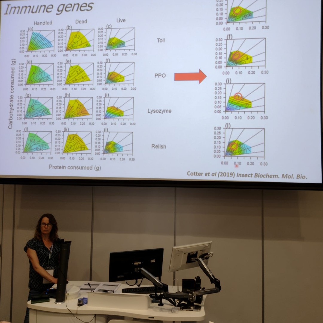 Are you what you eat? Sheena Cotter, University of Lincoln. talks to us about how diet impacts body nutrients.

<a href="/sheborg/">Dr. Sheena Cotter</a> <a href="/unilincoln/">University of Lincoln, UK</a> 
<a href="/UniofExeter/">University of Exeter</a> <a href="/UniExeCornwall/">University of Exeter, Cornwall</a> <a href="/UniExeCEC/">University of Exeter CEC</a> #Infection #Immunity #Ento23