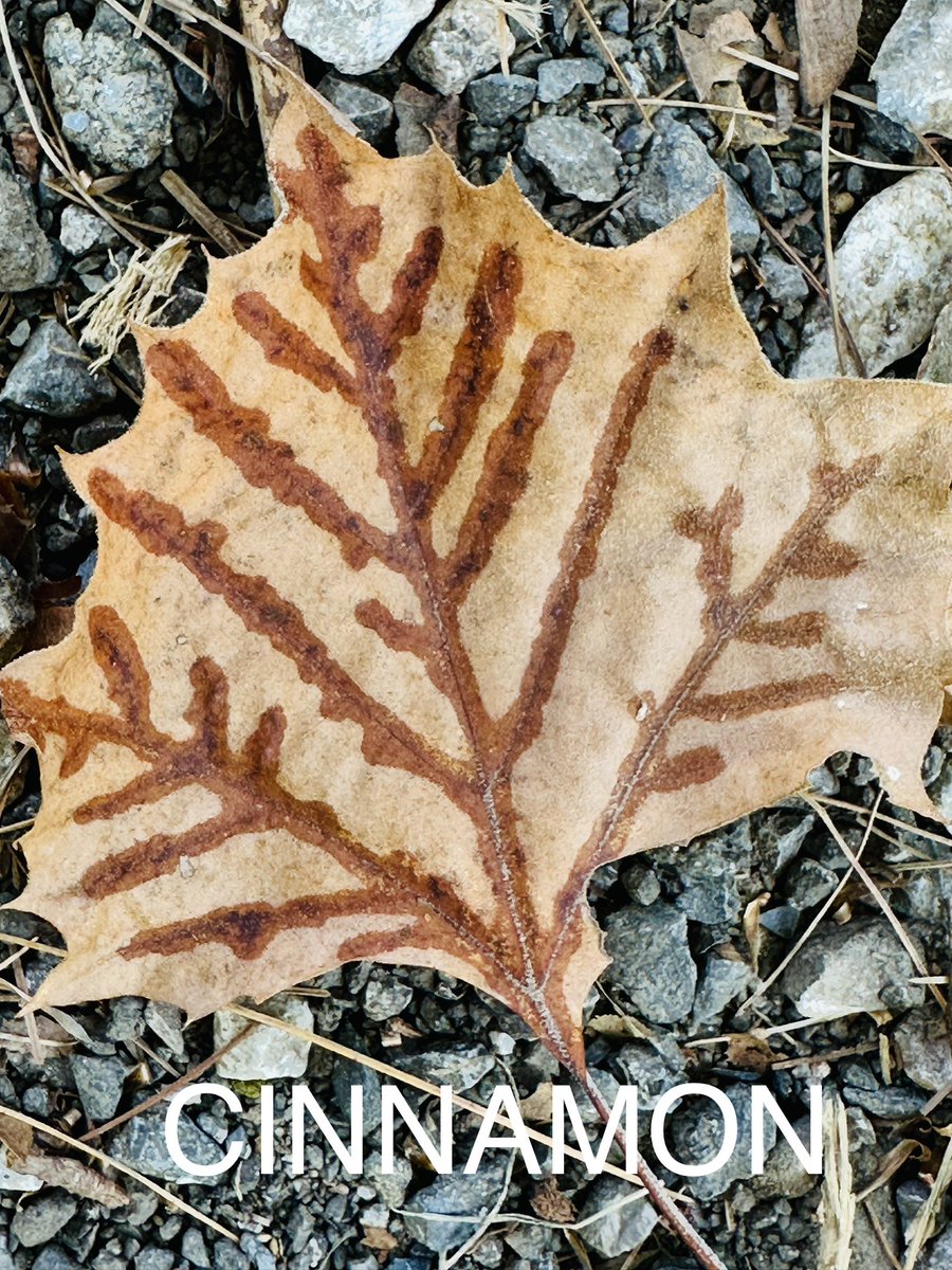 #ODSWildGooseChase2023
#Team Ace