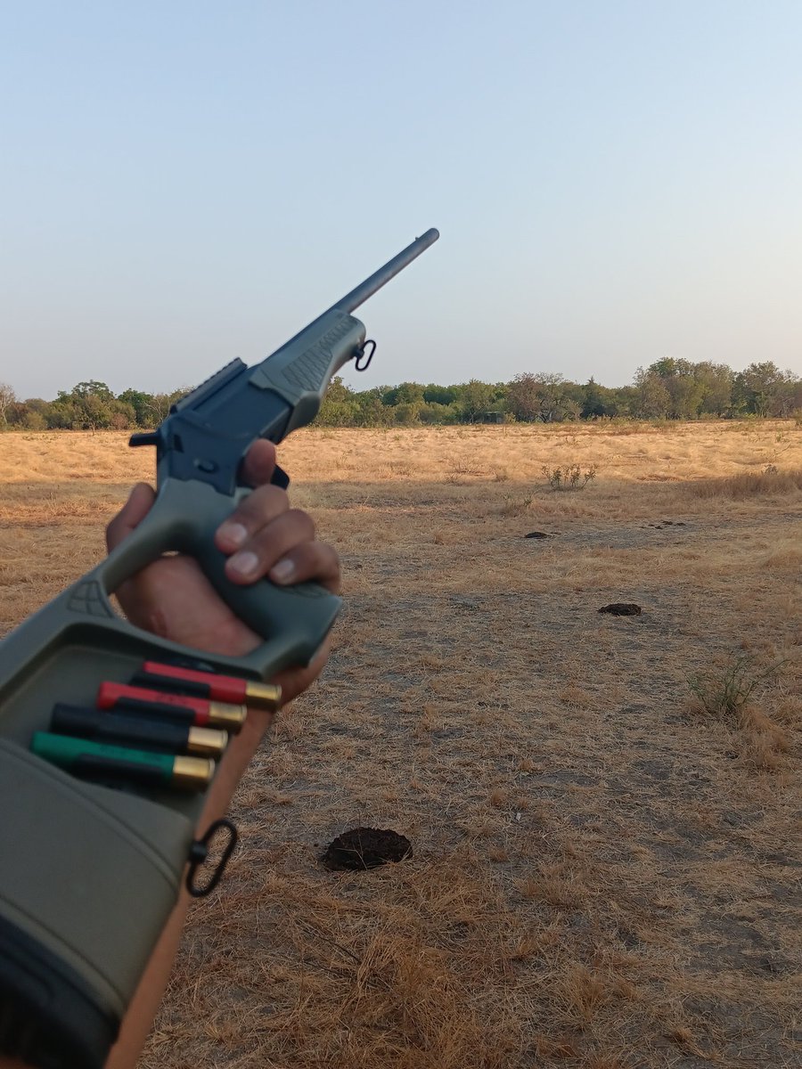 ThatguyBlessd's tweet photo. #Dovehunting #Waco https://t.co/ChkgAzZzQS