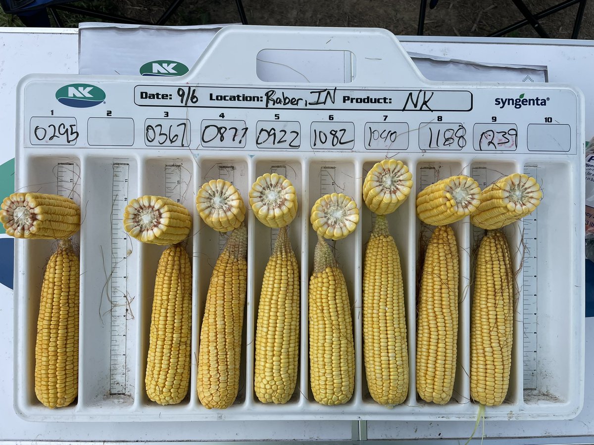 Thanks to Ag Plus for a great field day near Raber, IN. NK’s new corn launch class continues to impress. NK1040-AA is looking awesome!

#SuccessWithNK <a href="/NKSeeds/">NK Seeds</a> @NKGreatLakes <a href="/agplusinc/">Ag Plus Inc</a>