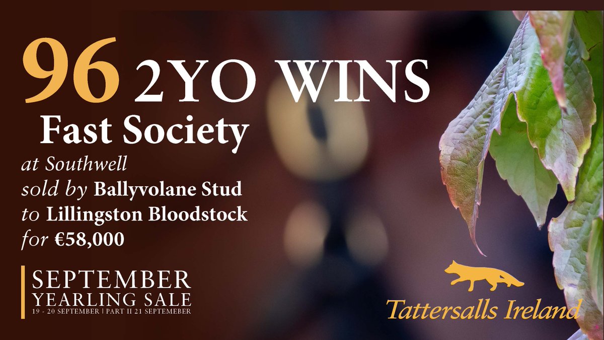 💥𝟐𝐲𝐨 win 𝐍𝐨. 𝟗𝟔 for the September Yearling Sale💥 

FAST SOCIETY records win 𝐍𝐨. 𝟗𝟔 for September by taking the Novice Stakes <a href="/Southwell_Races/">Southwell Racecourse</a> for <a href="/AndrewBalding2/">Andrew Balding</a> <a href="/KennetValleySyn/">Kennet Valley Syndicates</a> &amp; <a href="/_benacurtis/">Ben Curtis</a> 

Sold by <a href="/BallyvolaneStud/">Ballyvolane Stud</a> to <a href="/KernLillingston/">Lillingston_Bloodstock</a> for €58,000. 

🗓️21 - 22