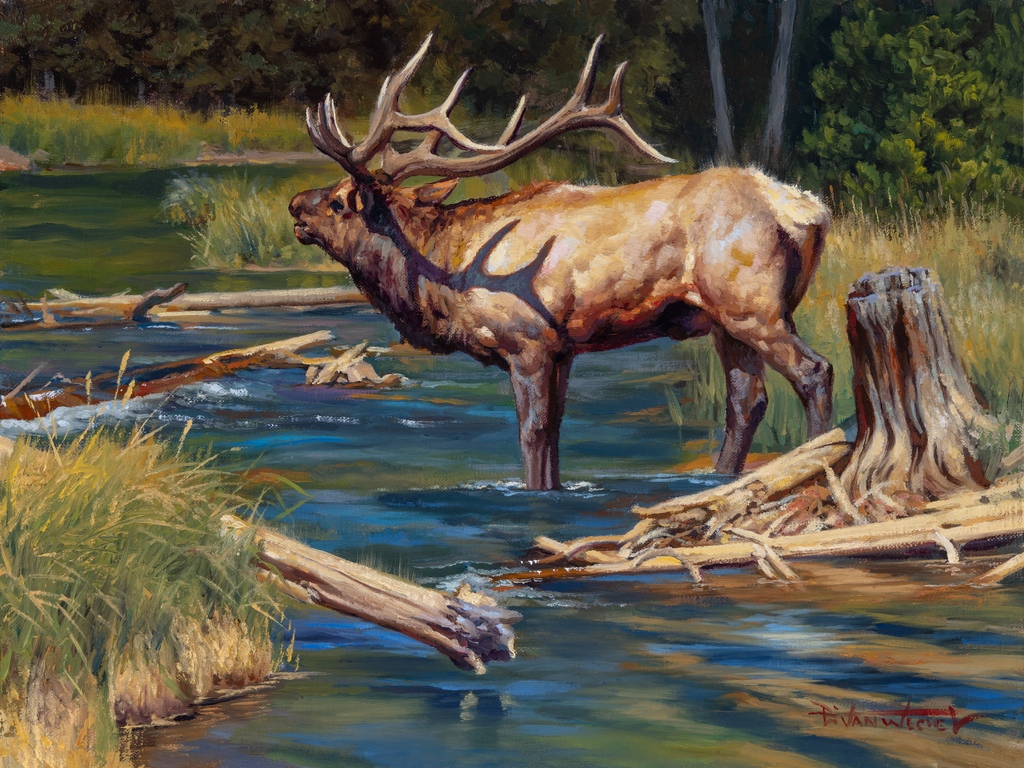 Trailside1963's tweet photo. Immerse yourself in the untamed wilderness🌲🦌✨ Vibrant colors and intricate brushwork by Dustin Van Wechel transport you to the heart of nature's symphony. 🎨🎶🌿 #WildlifeArt #NatureInspired #ElkBugling
Dustin Van Wechel
Answering The Call
oil on linen
12h x 16w in https://t.co/VkJNlHEY0E