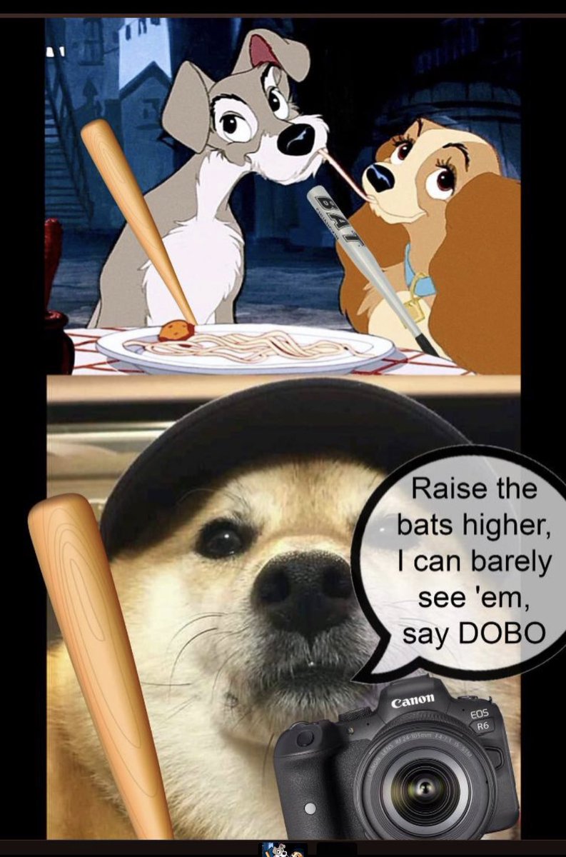 Trying to blend in as a legit #ETH coin but you grew up on the #BSC 

#dobo #dogebonk #doge #bonk $dobo #hoodmemes