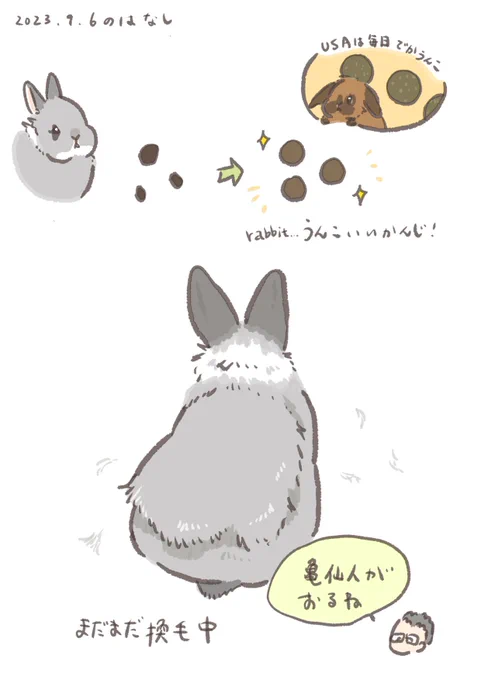 換毛あと一踏ん張りガンバレ!

#うさぎのいる生活 