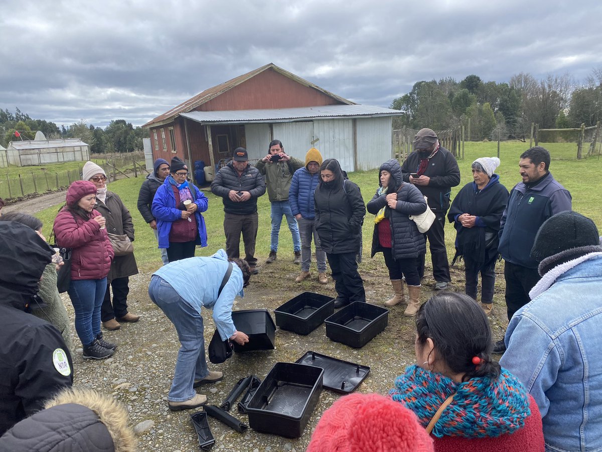 INIA_Chiloe's tweet photo. Con una nutrida concurrencia de agricultoras 👩🏼‍🌾 y agricultores 👨🏽‍🌾 de Chiloé, se sostuvo ayer un taller; “De Buenas Prácticas Agricolas y Manejo de Residuos Agropecuarios” @IndapLosLagos @MinagriLosLagos @MinagriCL @iniachile @inia_remehue @AgroecoINIA @INDAP_Chile @radiochiloe https://t.co/cMbsSBJU63