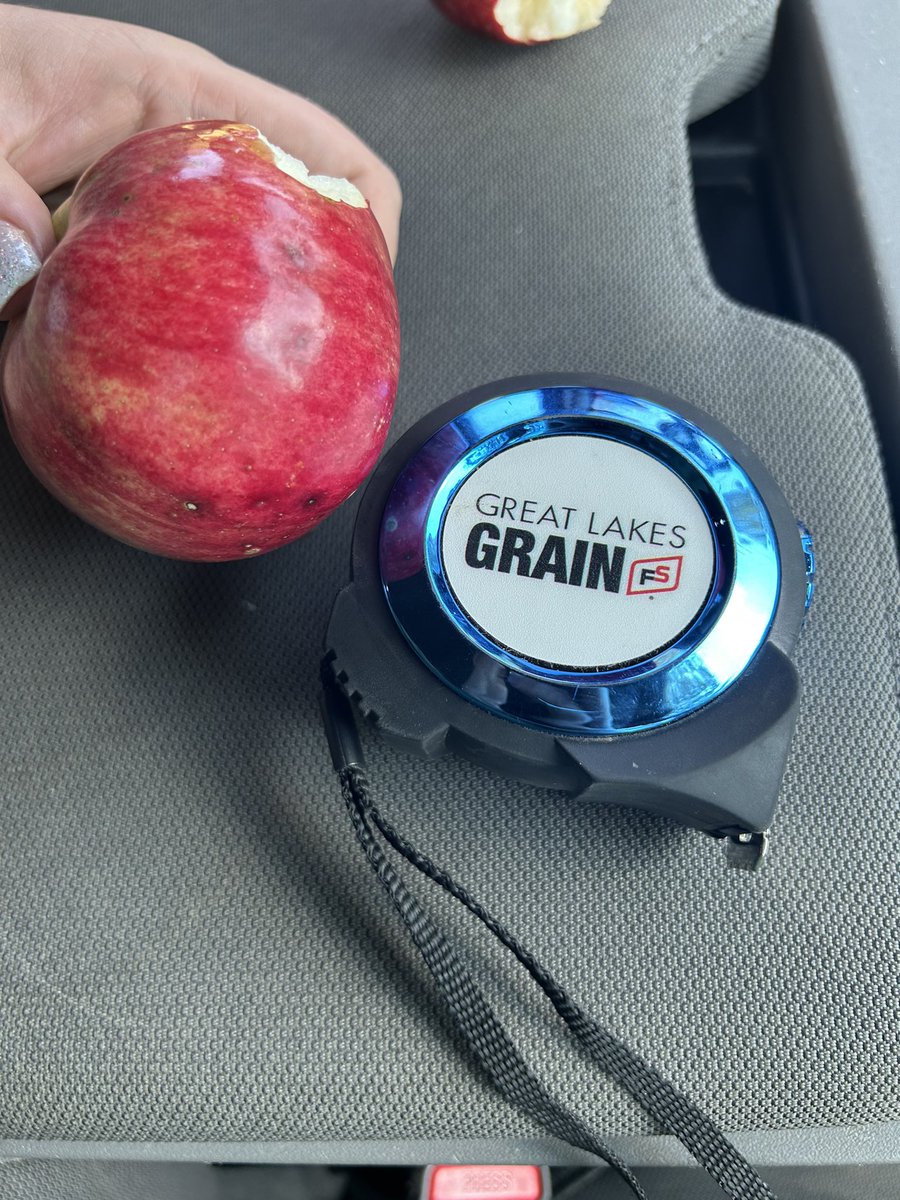 One of our fields brought us to an apple orchard! Was a great afternoon snack! 🍎 #glgtour2023