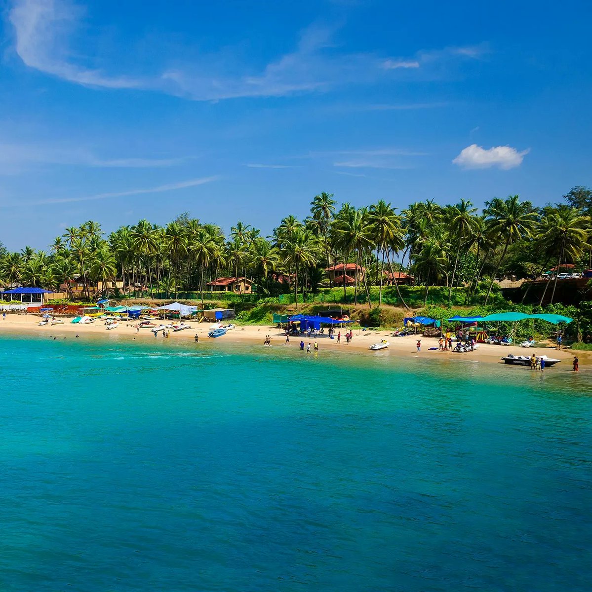 TheDragonTrip's tweet photo. On our 16-day India Tour, we spend the last three days in a little paradise called Goa. Grab your suncream and swimsuit, we're heading to the beach! 🏝️

#thedragontrip #india #goa https://t.co/uxMWx4lzqZ