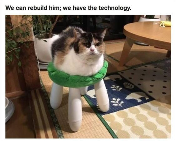 WholesomeMeme's tweet photo. https://t.co/heQUpyk6px