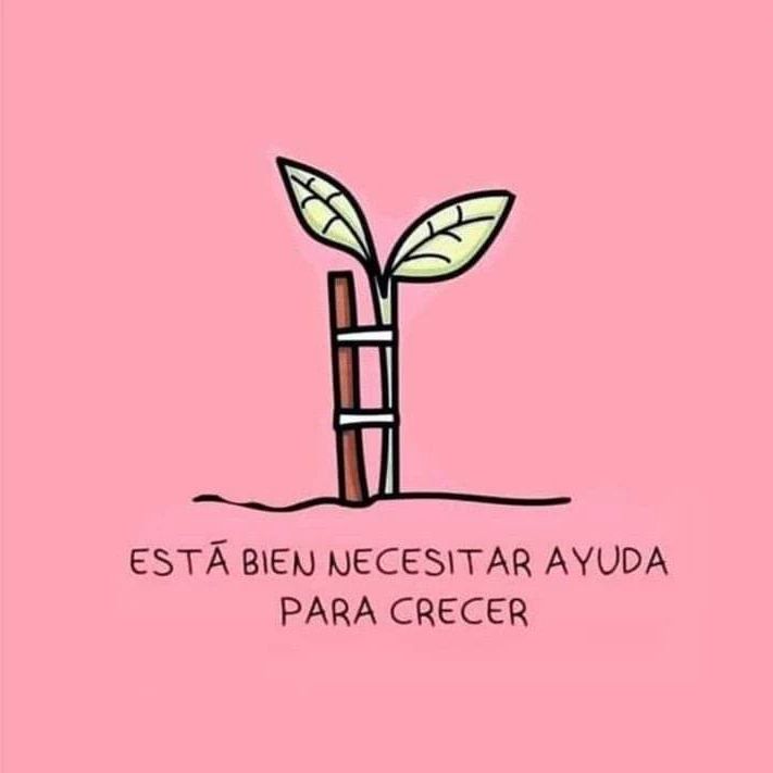 Salud_en_casa1's tweet photo. Que tengan , un excelente día.
#buscaapoyo #mentepositiva https://t.co/piqXHAkZc7