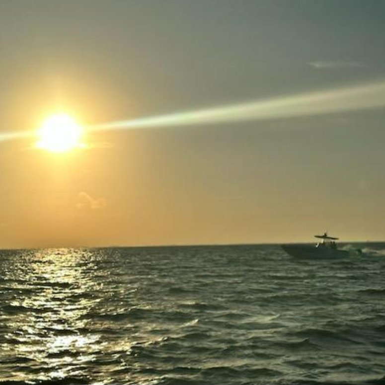 BradentonPD's tweet photo. Ahoy! BPD's Marine Unit assisted with (boat) traffic control at the #P1Offshore races in St. Pete last weekend. Thanks to our fellow law enforcement marine units for capturing these pics of Detective Freed and Officer Gardner operating the boat on behalf of Bradenton PD. https://t.co/GRxZh9MS6r