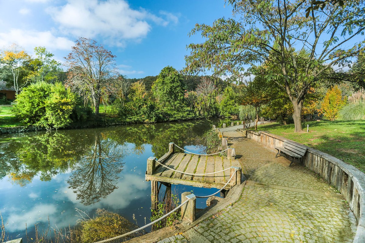 Atatürk Arboretumu keşfetmeden ölme 💙 
#İstanbul #sarıyer #kemerburgaz #botanik #garden #photography #NaturePhotography #forest #visit  #botanicalgarden #plant #Flora #Arboretum