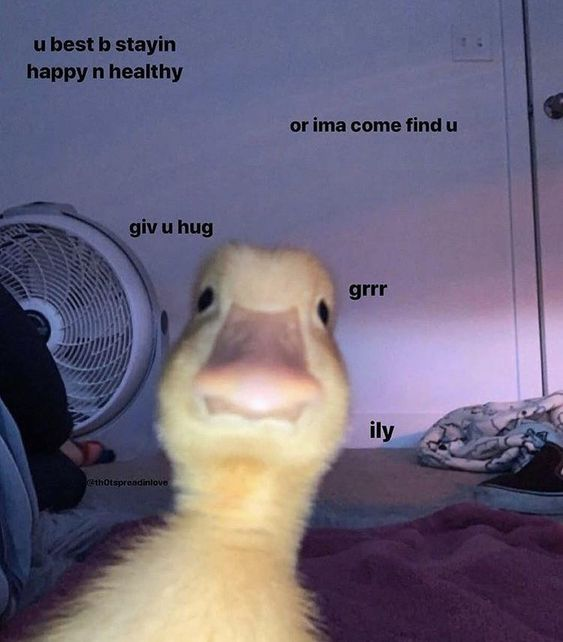 WholesomeMeme's tweet photo. https://t.co/0k6k35VxCM