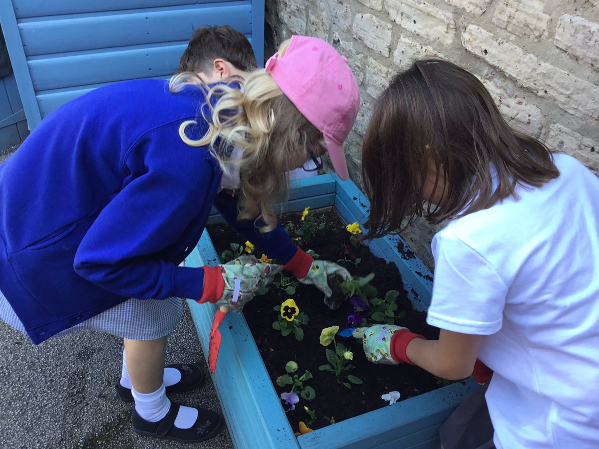 Masham CE Primary tweet media