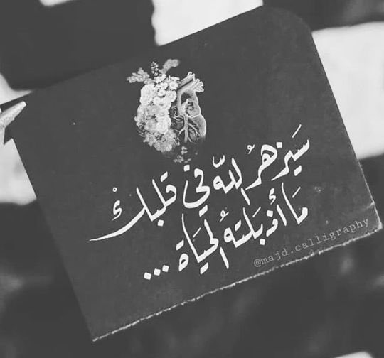 #رٍشُة_۶طُرٍ_لُلُﮃ۶مـ