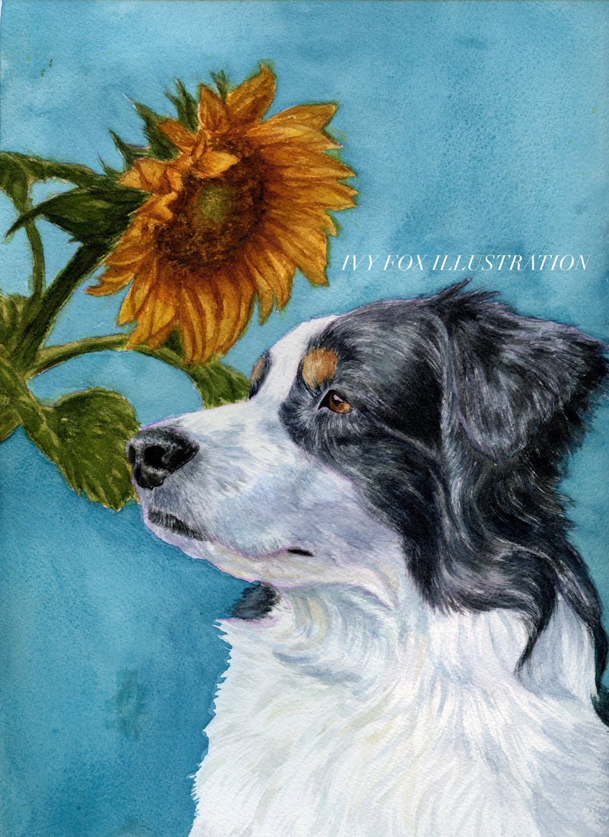 Fourceful's tweet photo. Hi, my name is Ivy and I paint pet portraits in watercolors! My art commissions are currently open! #commissionsopen #Watercolour #Dog #petportraits https://t.co/qHoN1HTLaf