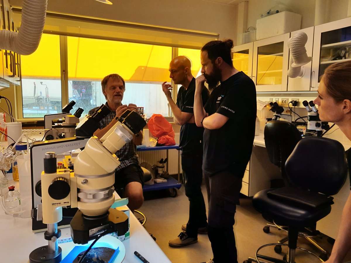 Center for Electromicrobiology tweet media