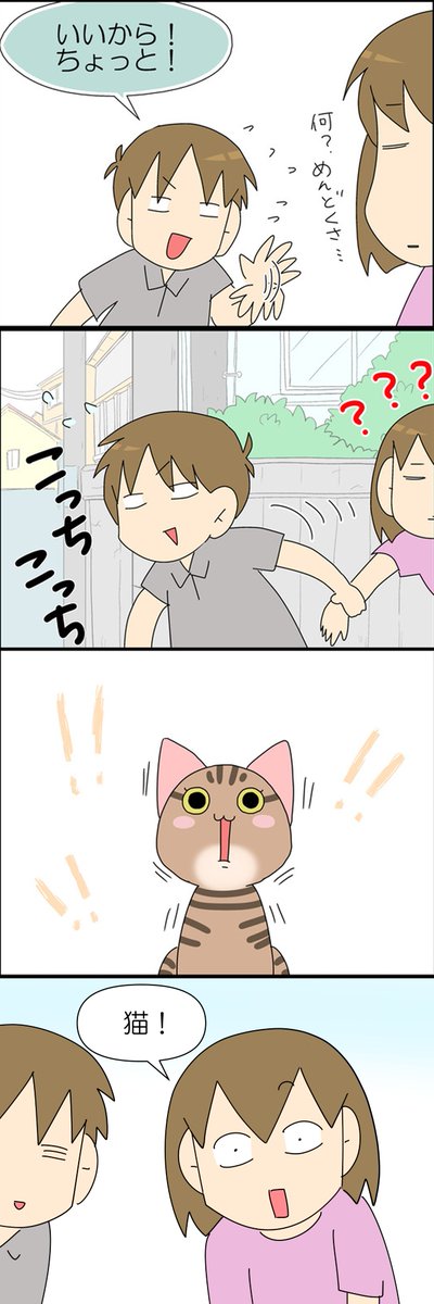生きることに必死な野良猫がいた話 2/3 