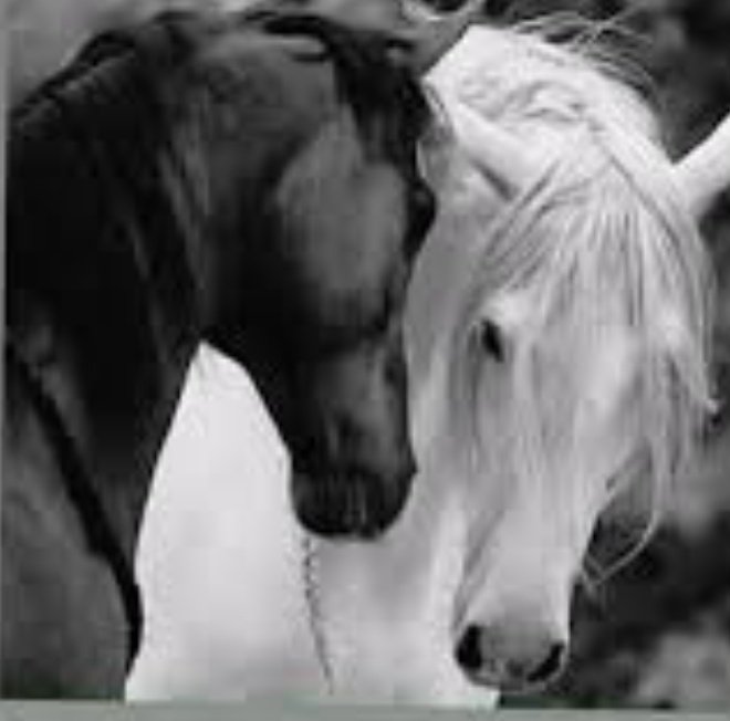 أصعب شعور
عندماً يقول لكك قلبكك إقترب
و  يحذركك عقلكك من الاقتراب😔