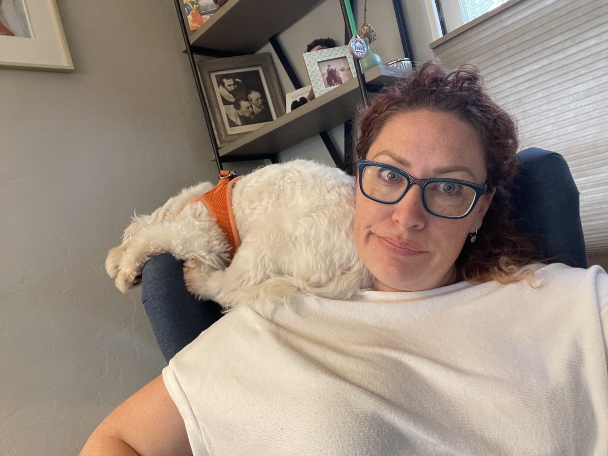 Shaemus you are a poor excuse for a parrot.