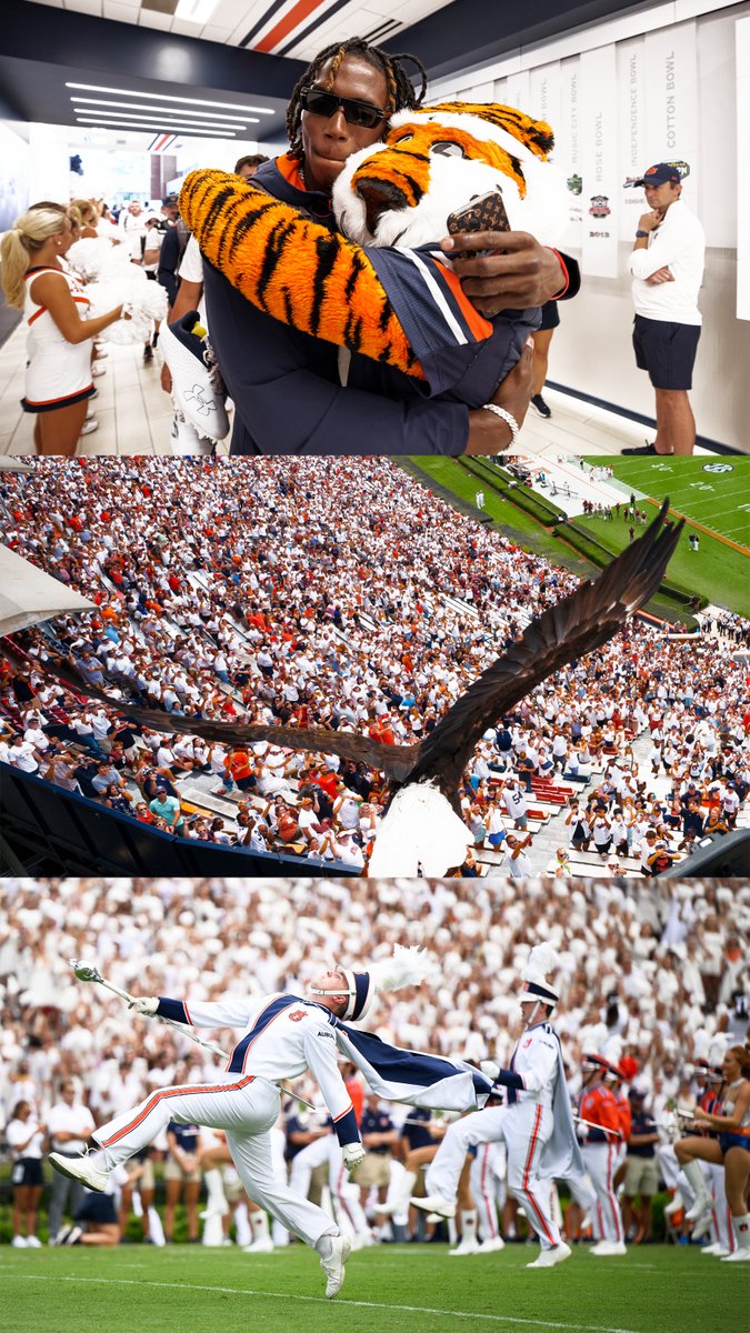 AuburnFootball tweet picture