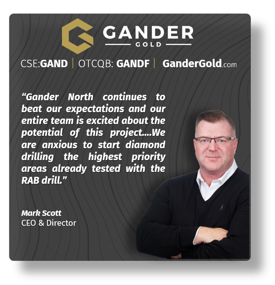 Gander Gold Corp. tweet media