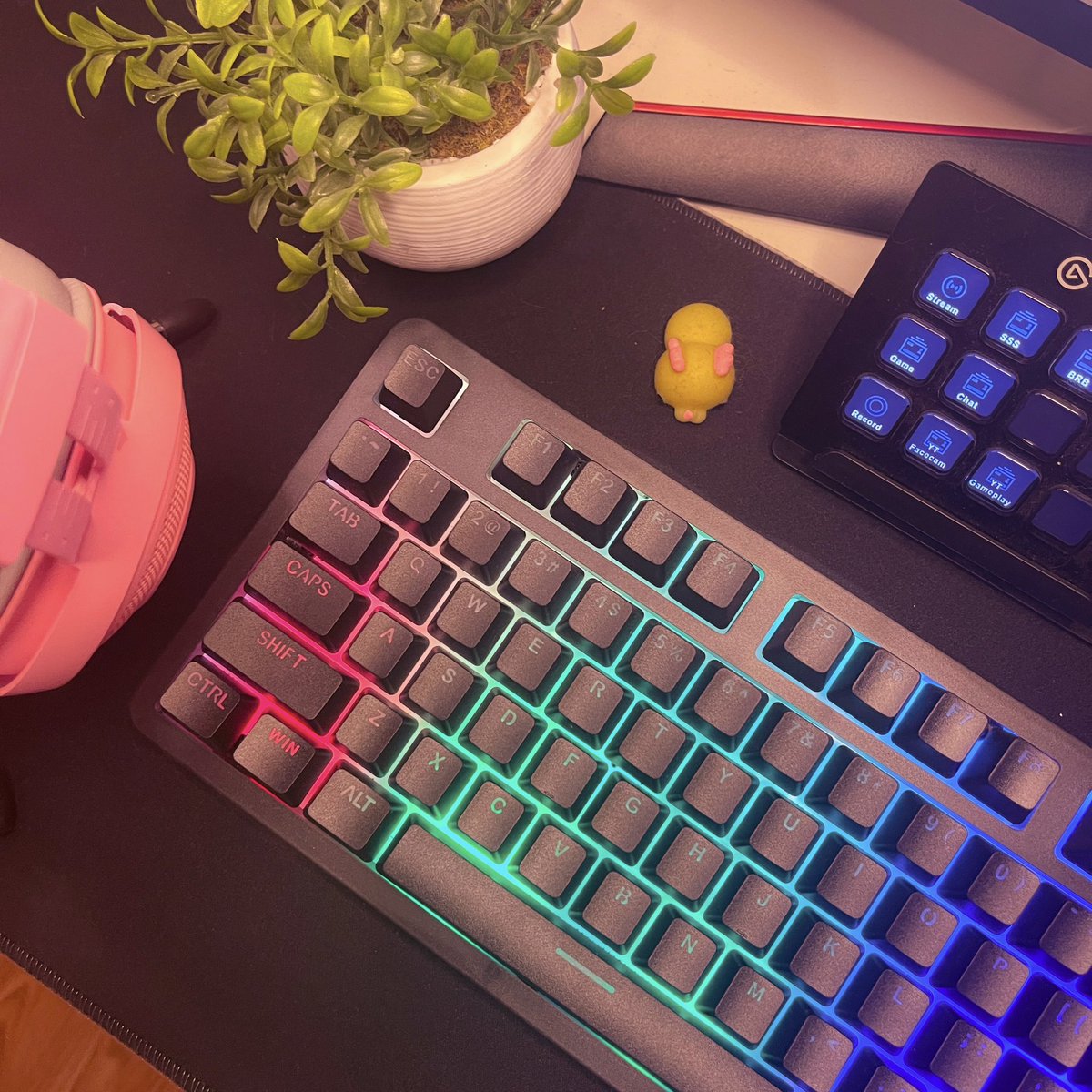 ♡ keyboard update ♡

my clumsy self managed to spill water ALLLL over my last keyboard, so for now, we have this one by onn! (ఠꍓఠ)

~ what type of keyboard do you prefer? clicky, quiet, or linear?

#keyboard #gamingkeyboard #pcgaming #pcgamingsetup #gamingaesthetic