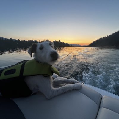 chiselernoel's tweet image. #NewProfilePic