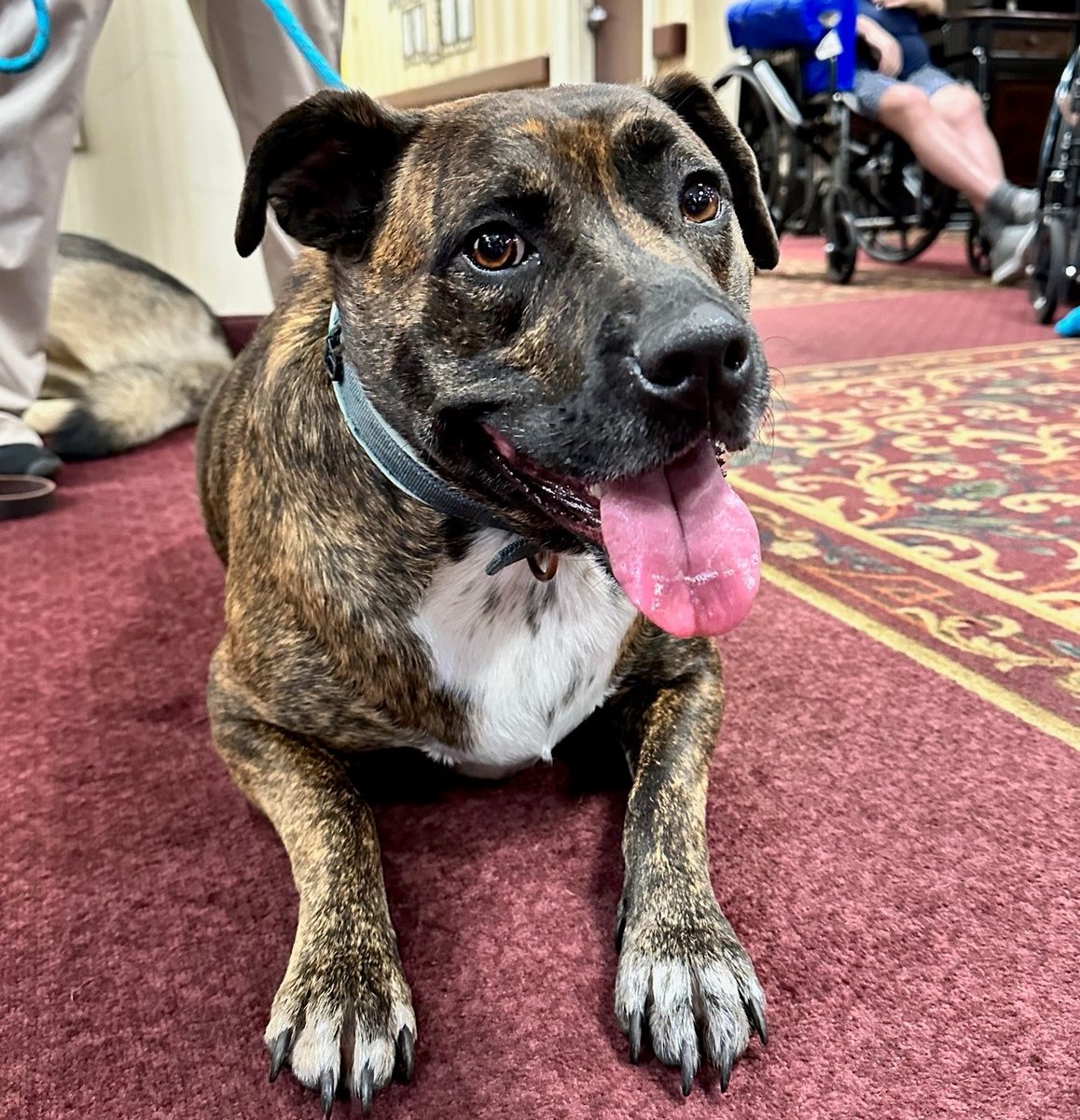 Historic Silvercrest tweet media