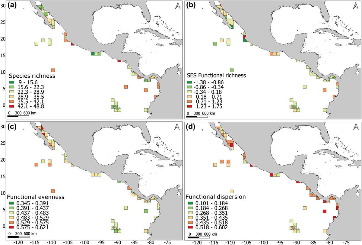 EcographyJourna's tweet photo. Patterns of reef fish taxonomic and functional diversity in the Eastern Tropical Pacific
https://t.co/dkw5rVVnO6
#WorldCoralReefStatus #ForCoral #GCRMN
@LeibnizZMT @ERALEARN_EU @dfg_public https://t.co/NofQSezzGm