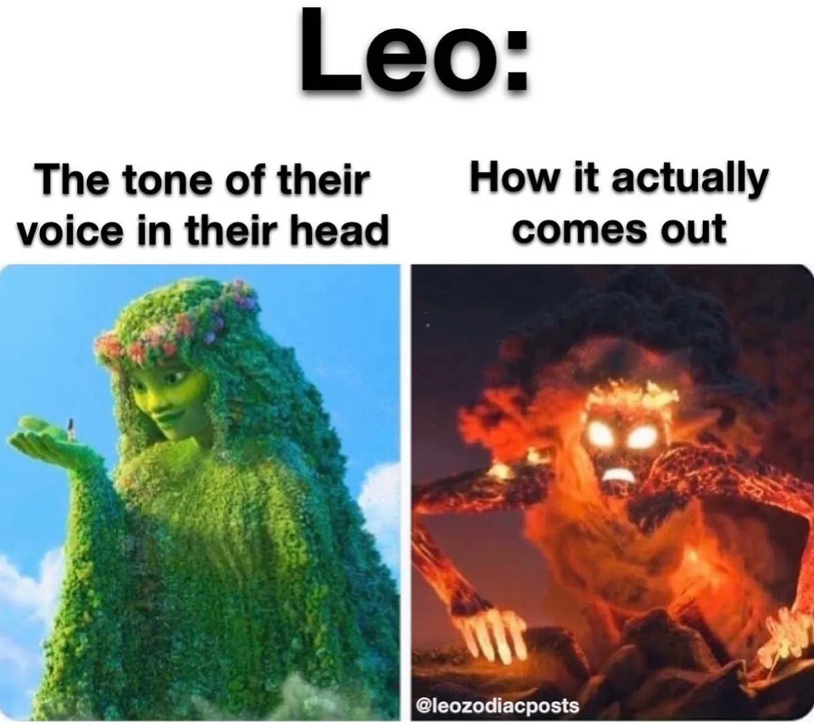 Leo_Tweets's tweet image. #Leos are working on this