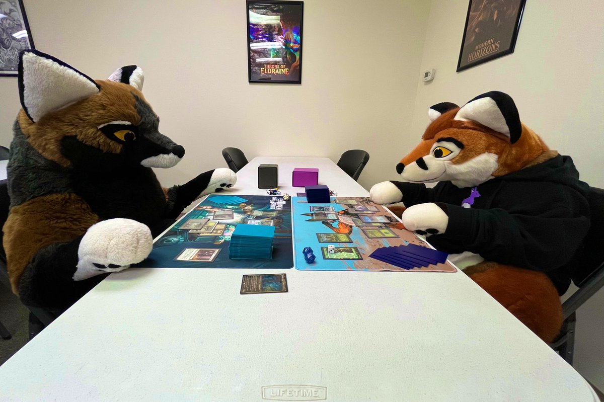 Life Partner Adventures:
Doing the things you love, with the ones you love and care for…<a href="/GunthyFuchs/">Günther</a>
<a href="/PlushLife_eu/">PlushLife</a>