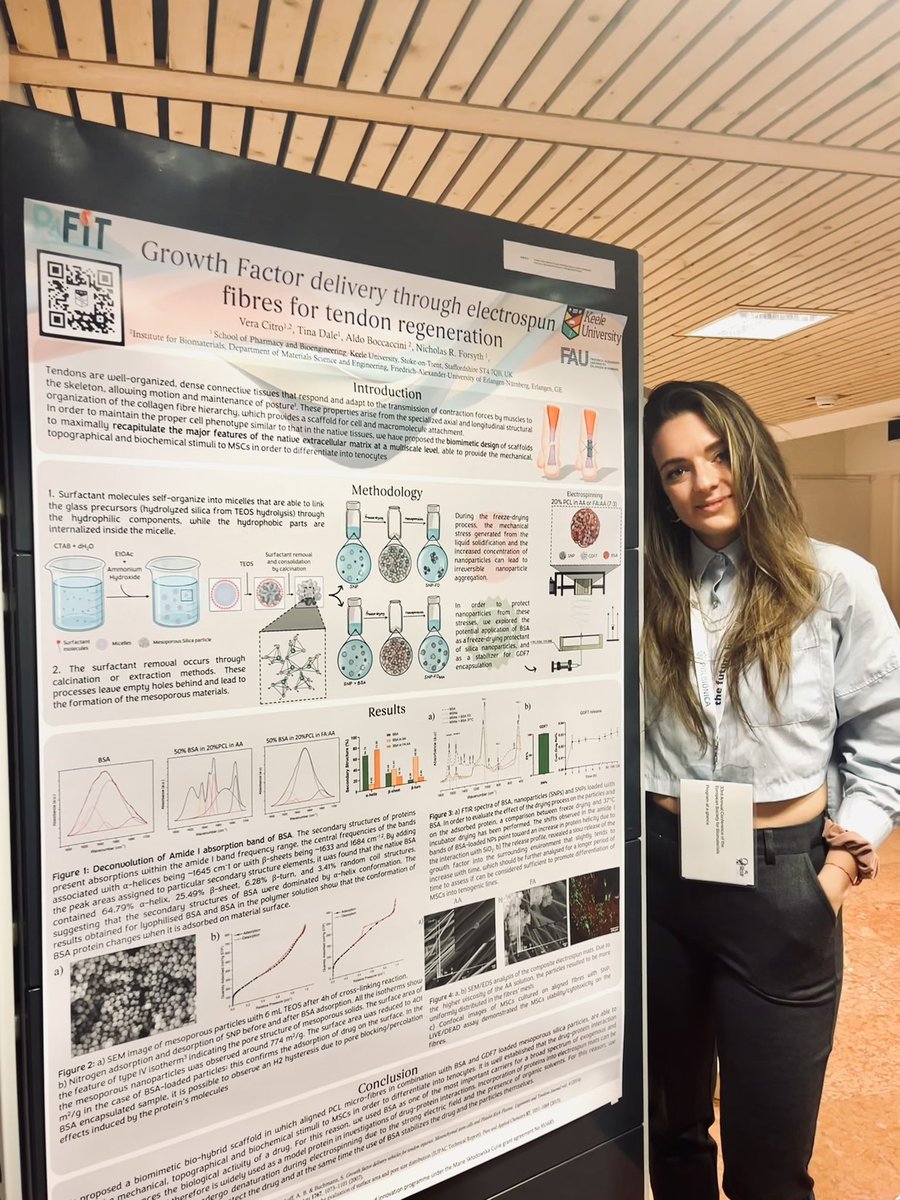 citro_vera's tweet photo. Glad to present my ongoing research work on Tendon Tissue Engineering at @ESB2023 . 
@nrforsyth @Boccaccini_Lab @P4Fit 

#tendon #tissueengineering #PhD #electrospinning #nanoparticles #drugdelivery #Science https://t.co/wV4xUXGZbD
