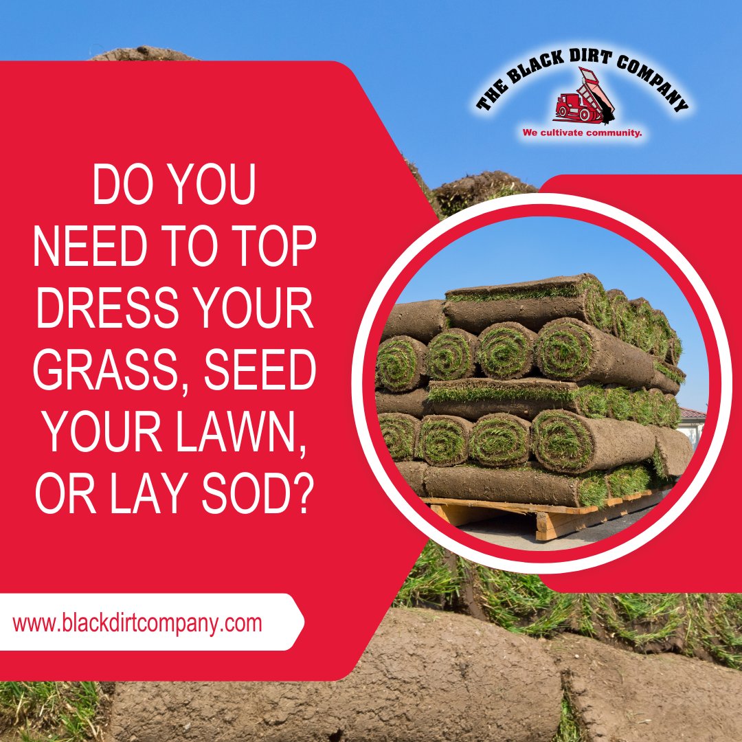 If you're looking to enhance your grass, whether it's through top dressing, seeding, or laying sod, The Black Dirt Company has got you covered!

Check out our website blackdirtcompany.com/products/sod/

#youpickuporwedeliver #sod #lawn #healthysod #freshsod